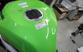 KAWASAKI NINJA ZX-6R A 2026 ZX636J
