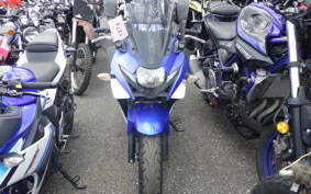 SUZUKI GSX250 R