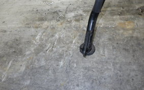 HUSQVARNA SVARTPILEN 250 2021
