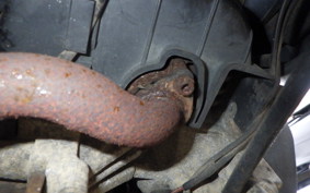 SUZUKI LET's 2 CA1KA