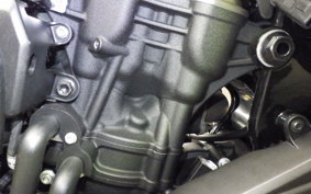 HARLEY RH975S 2023