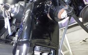 HARLEY XL883N 2009