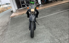YAMAHA WR250X DG15J