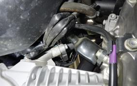 HONDA MONKEY 125 2026 JB03