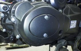 OTHER +UNREGISTERED MODEL by BDS125