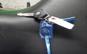 KAWASAKI NINJA H2 SX SE 2018 ZXT02A