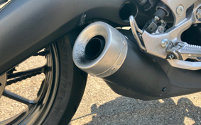 YAMAHA XSR900 2016 RN46J