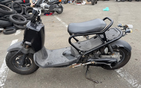 HONDA ZUMAR AF58