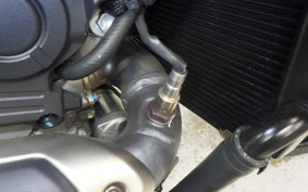 DUCATI HYPERMOTARD698 2024