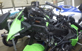 KAWASAKI ZX-4RR 2024 ZX400P