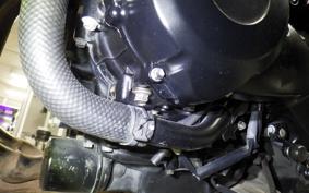 KAWASAKI Z900RS 2023 ZR900K