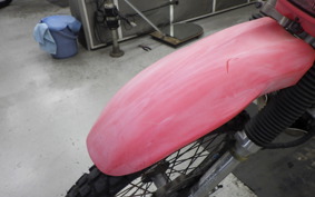 KAWASAKI SUPER SHERPA KL250G