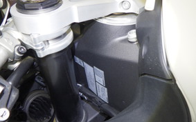 DUCATI PANIGALE V2 2021