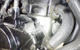 HONDA NS50F 2022 AC08
