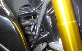 BMW G310R 2024