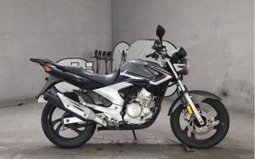 YAMAHA YBR250 PCNL