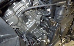 HARLEY ﾊﾟﾝ AMERICA1250S 2021