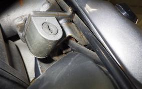 HONDA LITTLE CUB 2018 AA01