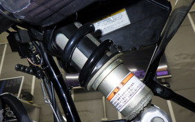 YAMAHA TW225 2012 DG09J