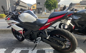 YAMAHA YZF-R25 RG10J