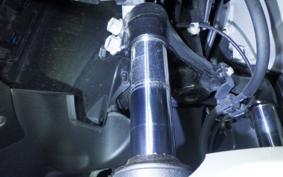 HONDA FORZA 250 1970 MF17