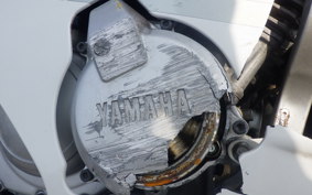 YAMAHA FZR250 2KR