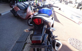 SUZUKI GSX250 R DN11A