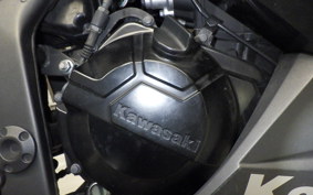 KAWASAKI NINJA 250 2025 EX250L