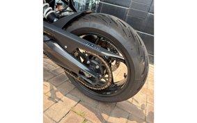 TRIUMPH TIGER SPORT 660 2025 L22U18