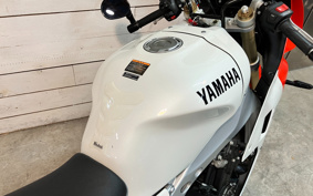 YAMAHA XSR900 GP 2024 RN96J