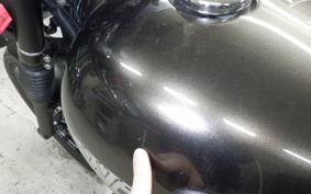 KAWASAKI W800 CAFE 2020 EJ800B