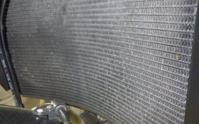 DUCATI MONSTER 821 2020