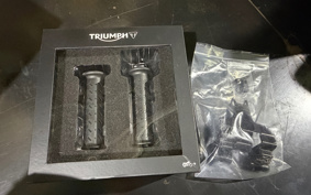 TRIUMPH SPEED TWIN 2023 DAD85H