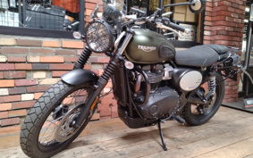 TRIUMPH SCRAMBLER 2024 DAD78G