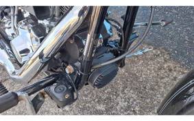 HARLEY FXSTC1340 2010 JL5