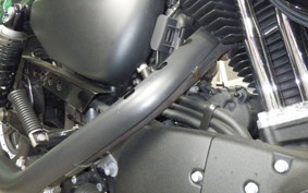 HARLEY XL883N 2017
