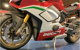 DUCATI PANIGA-REV4 SPECIALE 2018 DA00J