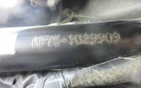 HONDA  TACT  BASIC  AF75