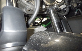 KAWASAKI NINJA 250 2 2019 EX250Y