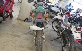 KAWASAKI KDX250SR DX250F