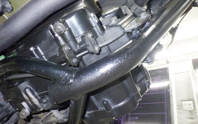 KAWASAKI 250TR 2024 BJ250F