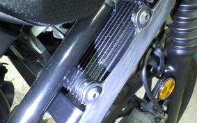 HONDA REBEL 250 MC49