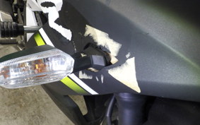 KAWASAKI NINJA 250 SL 2007