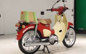 HONDA C110 SUPER CUB 2009 JA59