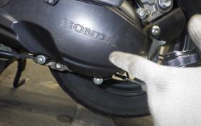 HONDA ﾀﾞﾝｸ 2024 AF74