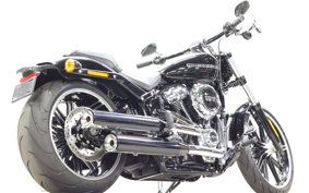 HARLEY FXBR 2018 YEJ