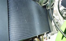 KAWASAKI ZRX1200 D 2017 ZRT20D