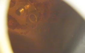 SUZUKI GSX-R1100 Gen.2 1995