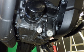 HONDA REBEL 1100 2025 SC83