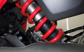 HONDA VTRF250 2005 MC33